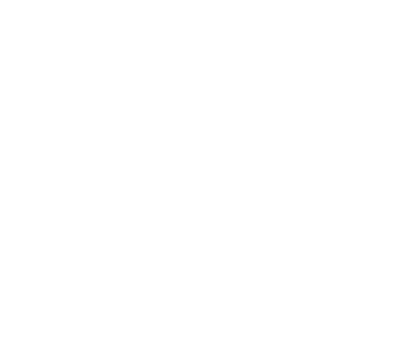 50 Jahre Wien Holding